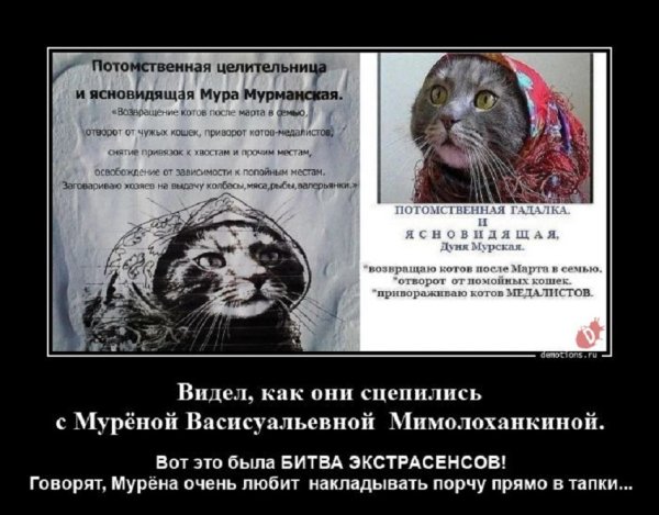 Добавить больше нечего