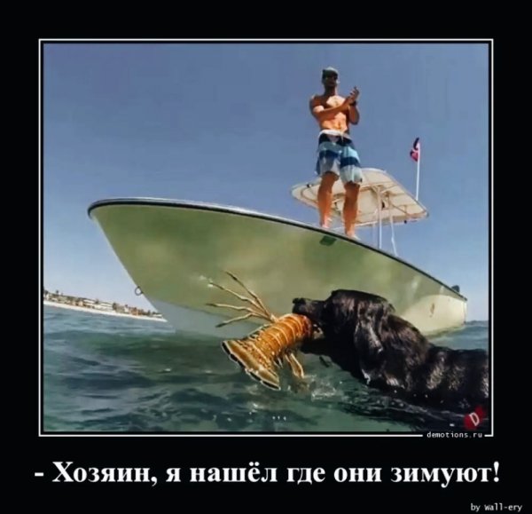 IMG 20240210 000817