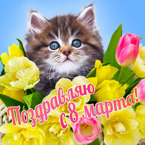 IMG 20190308 673905