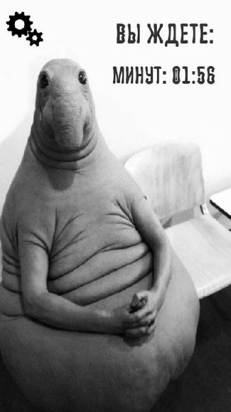 Ждун жми и жди v 1.0