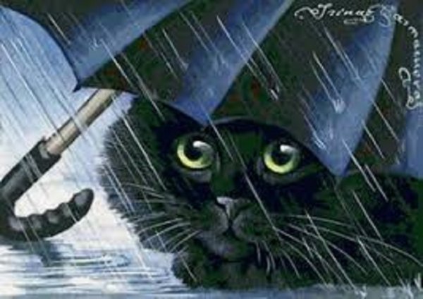 Кот под зонтом