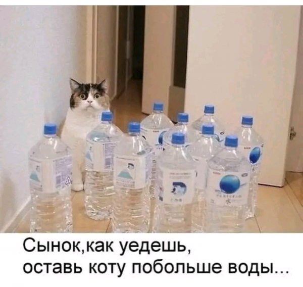 file_103381467