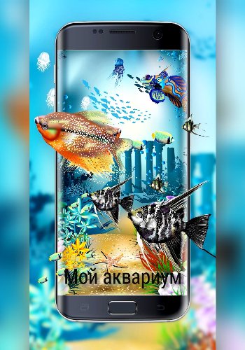 Всё об аквариуме. Сборник
