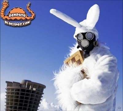 Чернобыльский кролик