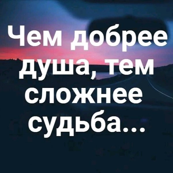 file_95952633