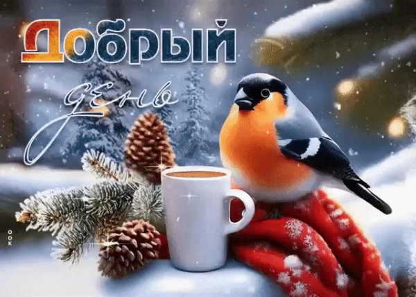 IMG 20240109 005713