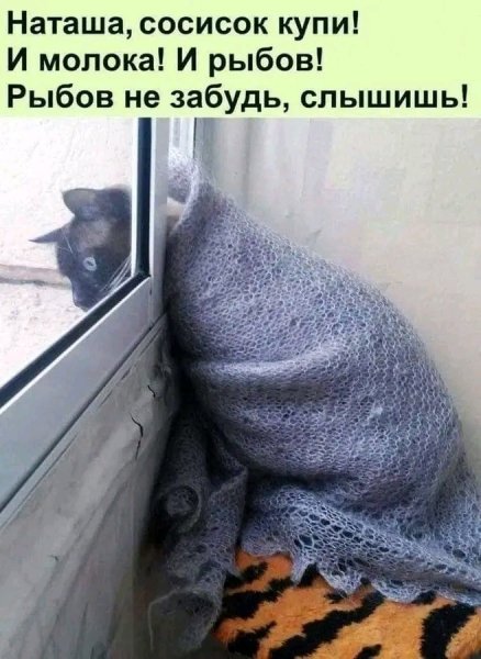 file_103268277