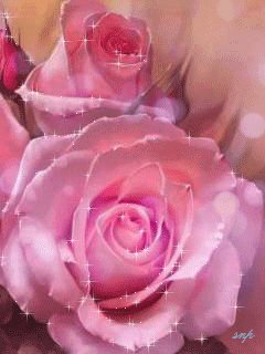 file_46483860