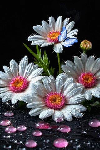file_98874366