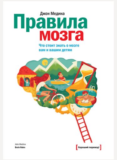 Правила мозга. Что стоит знать о мозге в