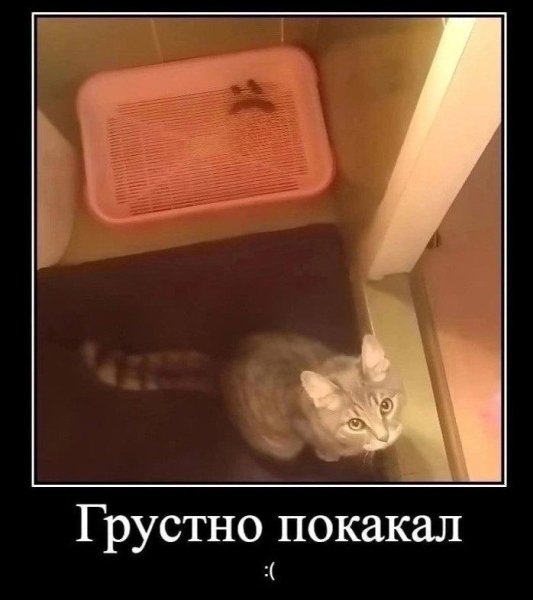 IMG 20240220 164751 975