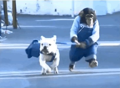 gif 1476532176