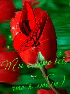 file_72787613