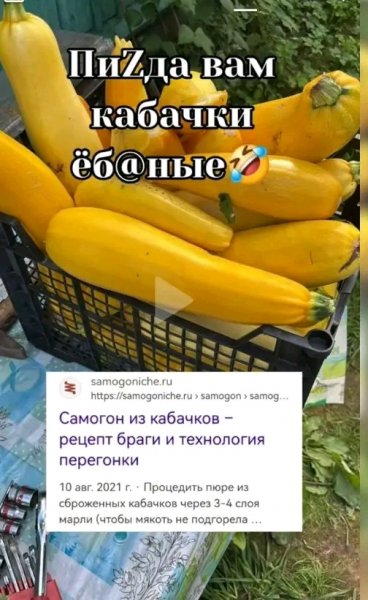 file_103322580