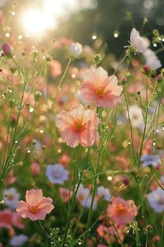 file_100656232