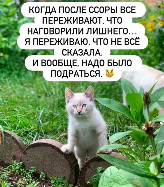 file_102950605
