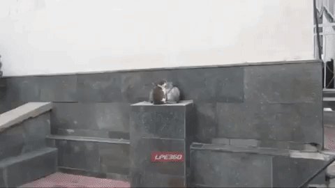 Вместе Легче