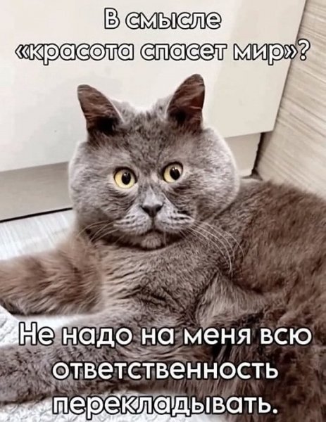 Красота спасёт мир