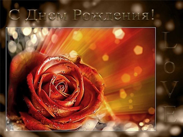 Розы