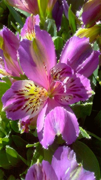 -
