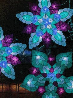 file_81035571