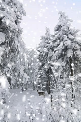 file_75528098
