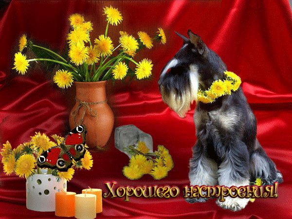 хорошего настроения
