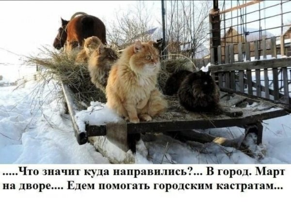 Помощники