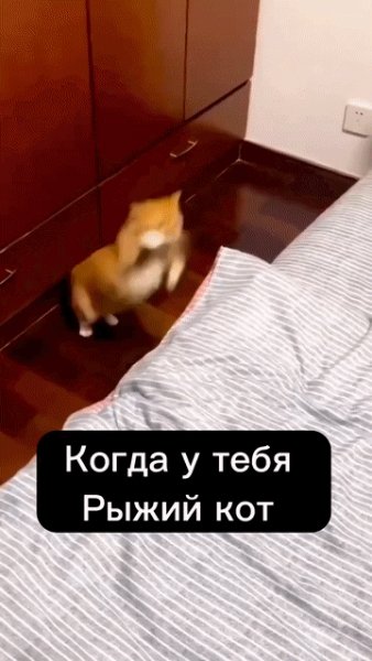 IMG 20230719 185531
