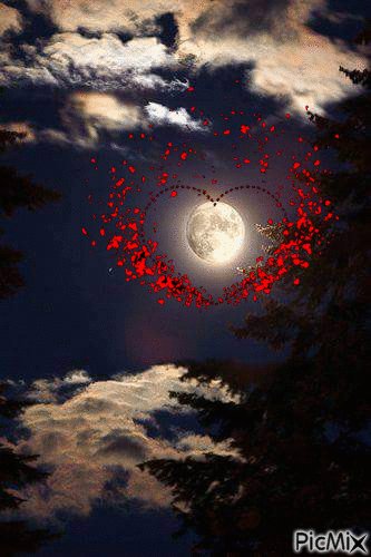 love moon