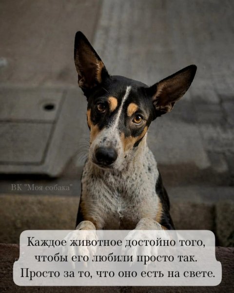 file_103074390