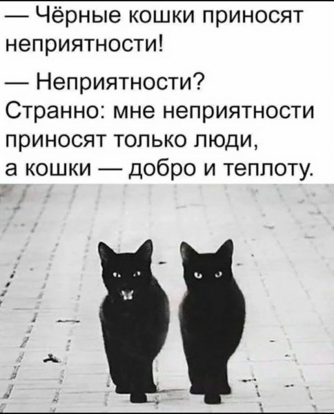 Screenshot 2022-06-28-11-35-56-106 com.vkontakte.android 1