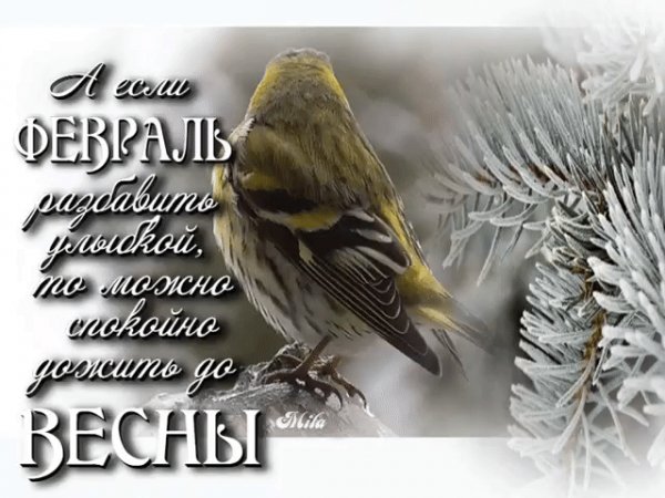 file_80666336