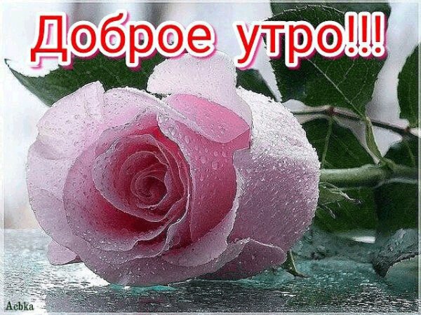 file_92807663