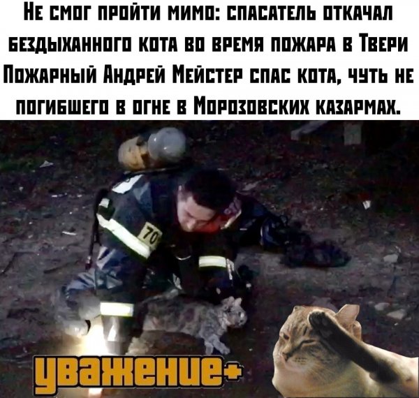file_79495924