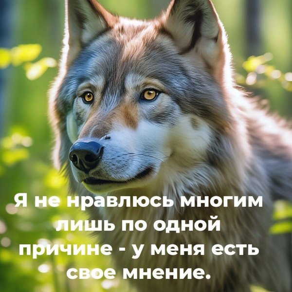 IMG 20260209 132613