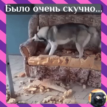 IMG 20230304 111352