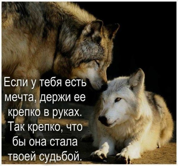 IMG 20250219 051404
