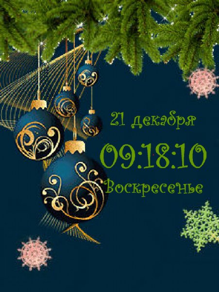 Novogodnyaya