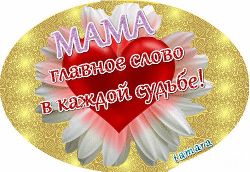 IMG 20171206 134112 3