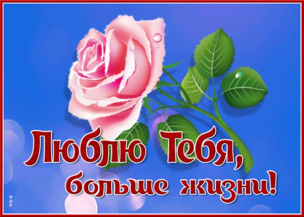 любовь 190082