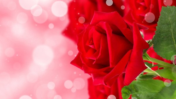 Image (35)