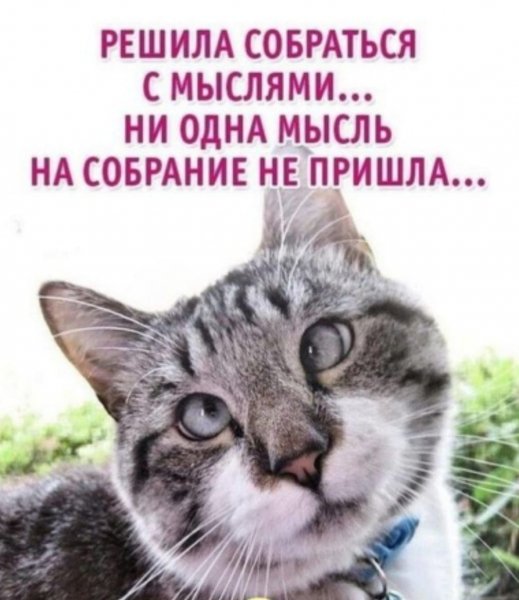IMG-09dd3041fc8cdff46463b3026feef86a-V (1)