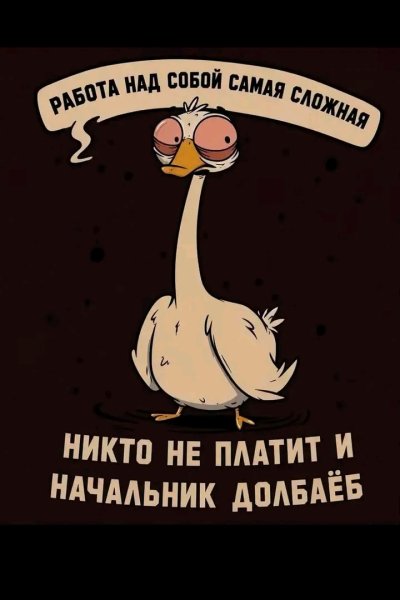 file_103380050