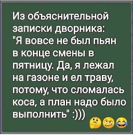 IMG 20251030 203733 268