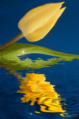 file_46506714