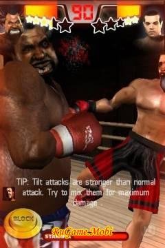 iron fist boxing v394
