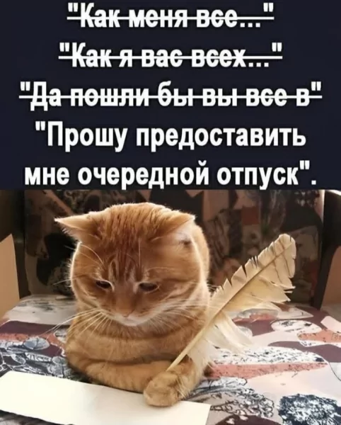 IMG 20260613 164629