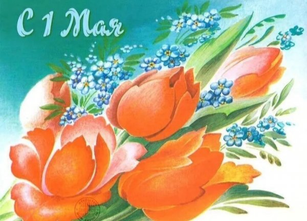 IMG 20260502 234943