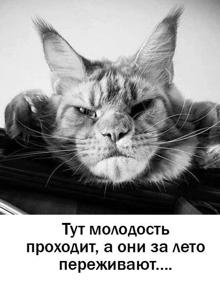 IMG 20241112 013510